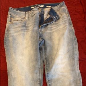 Wallflower size 17 jeans
